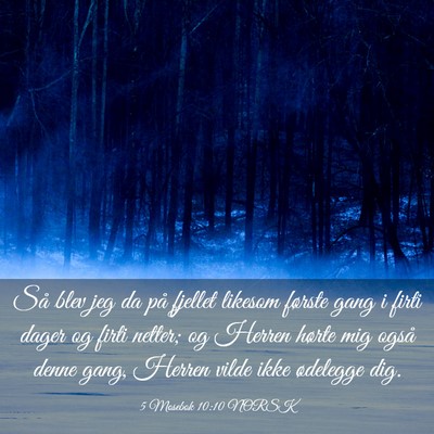 Picture 03 - 5 Mosebok 10:10 NORSK - Så blev jeg da på fjellet likesom første gang - Bible Verse Picture