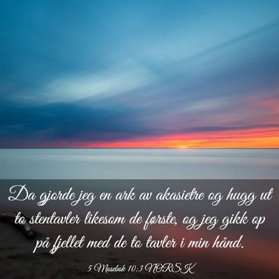 Picture 03 - 5 Mosebok 10:3 NORSK - Da gjorde jeg en ark av akasietre og hugg ut to - Bible Verse Picture