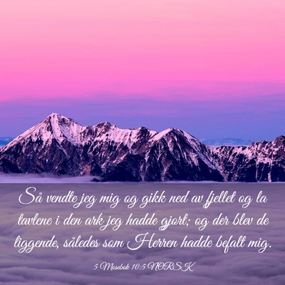Picture 03 - 5 Mosebok 10:5 NORSK - Så vendte jeg mig og gikk ned av fjellet og la - Bible Verse Picture