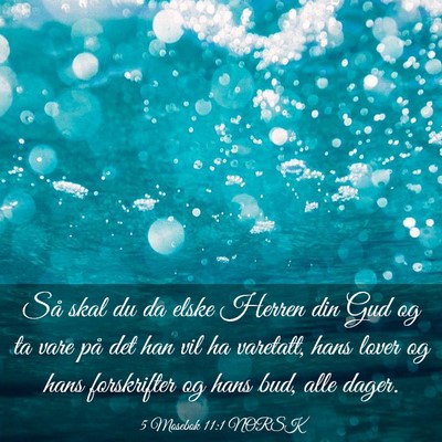 Picture 03 - 5 Mosebok 11:1 NORSK - Så skal du da elske Herren din Gud og ta vare - Bible Verse Picture
