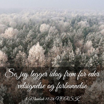 Picture 03 - 5 Mosebok 11:26 NORSK - Se, jeg legger idag frem for eder velsignelse og - Bible Verse Picture