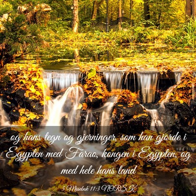 Picture 03 - 5 Mosebok 11:3 NORSK - og hans tegn og gjerninger, som han gjorde i - Bible Verse Picture