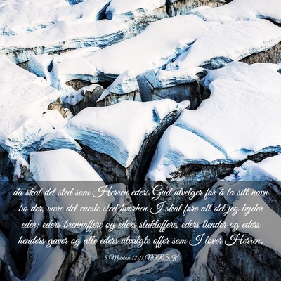 Picture 03 - 5 Mosebok 12:11 NORSK - da skal det sted som Herren eders Gud utvelger - Bible Verse Picture