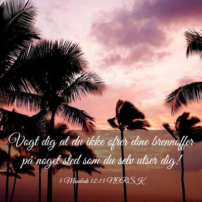 Picture 03 - 5 Mosebok 12:13 NORSK - Vogt dig at du ikke ofrer dine brennoffer på - Bible Verse Picture