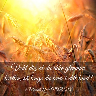Picture 03 - 5 Mosebok 12:19 NORSK - Vokt dig at du ikke glemmer levitten, så lenge - Bible Verse Picture