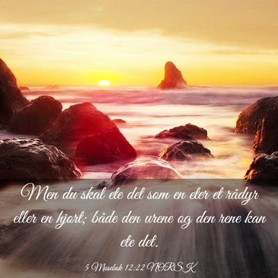 Picture 03 - 5 Mosebok 12:22 NORSK - Men du skal ete det som en eter et rådyr eller - Bible Verse Picture