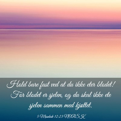 Picture 03 - 5 Mosebok 12:23 NORSK - Hold bare fast ved at du ikke eter blodet! For - Bible Verse Picture