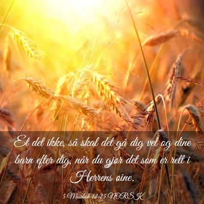 Picture 03 - 5 Mosebok 12:25 NORSK - Et det ikke, så skal det gå dig vel og dine - Bible Verse Picture