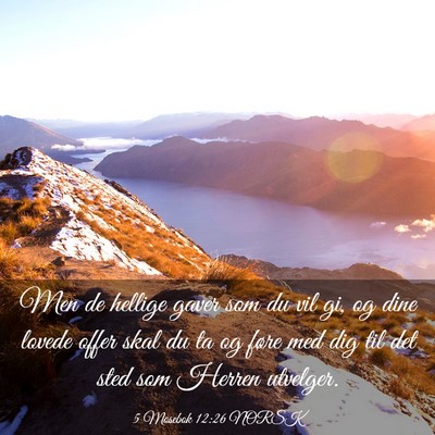 Picture 03 - 5 Mosebok 12:26 NORSK - Men de hellige gaver som du vil gi, og dine - Bible Verse Picture