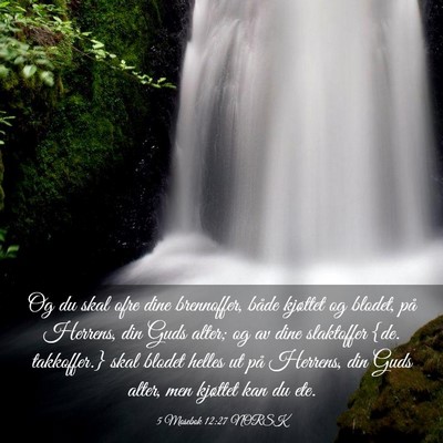 Picture 03 - 5 Mosebok 12:27 NORSK - Og du skal ofre dine brennoffer, både kjøttet - Bible Verse Picture