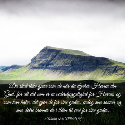 Picture 03 - 5 Mosebok 12:31 NORSK - Du skal ikke gjøre som de når du dyrker Herren - Bible Verse Picture