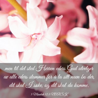 Picture 03 - 5 Mosebok 12:5 NORSK - men til det sted Herren eders Gud utvelger av - Bible Verse Picture