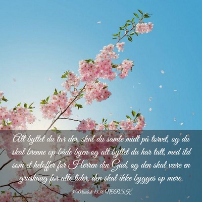 Picture 03 - 5 Mosebok 13:16 NORSK - Alt byttet du tar der, skal du samle midt på - Bible Verse Picture