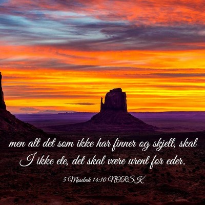 Picture 03 - 5 Mosebok 14:10 NORSK - men alt det som ikke har finner og skjell, skal I - Bible Verse Picture