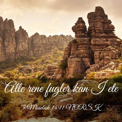 Picture 03 - 5 Mosebok 14:11 NORSK - Alle rene fugler kan I - Bible Verse Picture