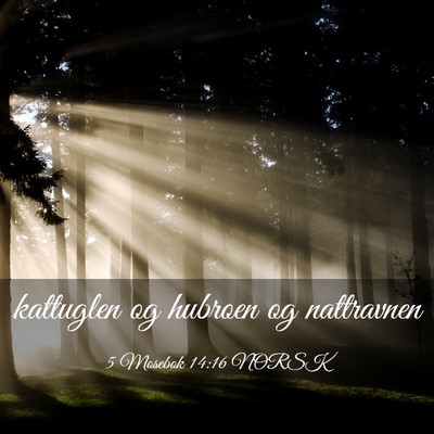 Picture 03 - 5 Mosebok 14:16 NORSK - kattuglen og hubroen og - Bible Verse Picture