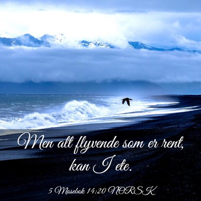 Picture 03 - 5 Mosebok 14:20 NORSK - Men alt flyvende som er rent, kan I - Bible Verse Picture