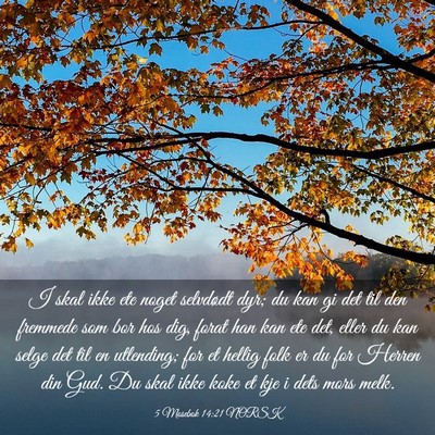 Picture 03 - 5 Mosebok 14:21 NORSK - I skal ikke ete noget selvdødt dyr; du kan gi - Bible Verse Picture