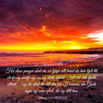 Picture 03 - 5 Mosebok 14:26 NORSK - For disse penger skal du så kjøpe alt hvad du - Bible Verse Picture
