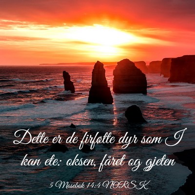 Picture 03 - 5 Mosebok 14:4 NORSK - Dette er de firføtte dyr som I kan ete: oksen, - Bible Verse Picture