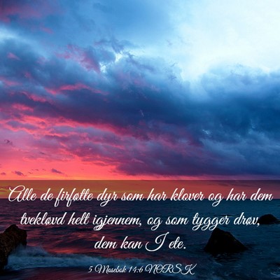Picture 03 - 5 Mosebok 14:6 NORSK - Alle de firføtte dyr som har klover og har dem - Bible Verse Picture
