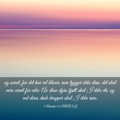 Picture 03 - 5 Mosebok 14:8 NORSK - og svinet, for det har vel klover, men tygger - Bible Verse Picture