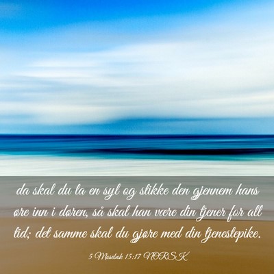 Picture 03 - 5 Mosebok 15:17 NORSK - da skal du ta en syl og stikke den gjennem hans - Bible Verse Picture