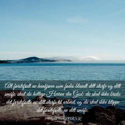 Picture 03 - 5 Mosebok 15:19 NORSK - Alt førstefødt av hankjønn som fødes blandt - Bible Verse Picture