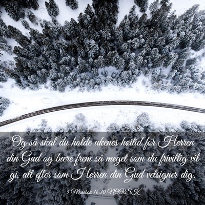 Picture 03 - 5 Mosebok 16:10 NORSK - Og så skal du holde ukenes høitid for Herren - Bible Verse Picture
