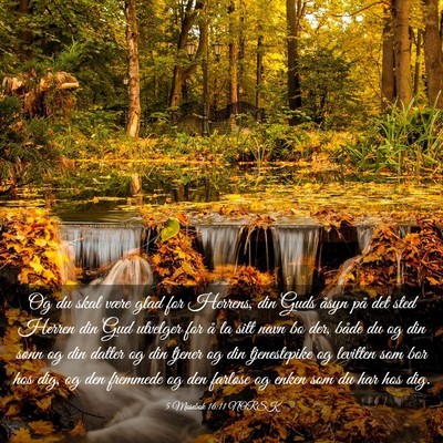 Picture 03 - 5 Mosebok 16:11 NORSK - Og du skal være glad for Herrens, din Guds åsyn - Bible Verse Picture
