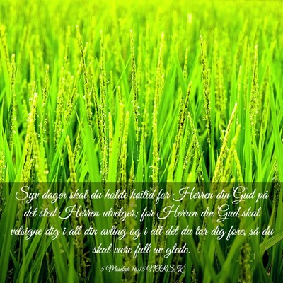 Picture 03 - 5 Mosebok 16:15 NORSK - Syv dager skal du holde høitid for Herren din - Bible Verse Picture