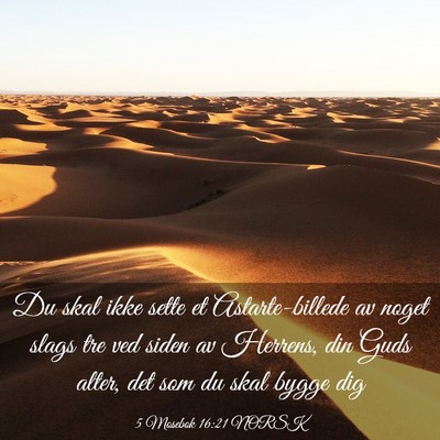 Picture 03 - 5 Mosebok 16:21 NORSK - Du skal ikke sette et Astarte-billede av noget - Bible Verse Picture