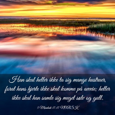 Picture 03 - 5 Mosebok 17:17 NORSK - Han skal heller ikke ta sig mange hustruer, forat - Bible Verse Picture