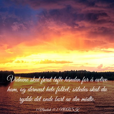 Picture 03 - 5 Mosebok 17:7 NORSK - Vidnene skal først løfte hånden for å avlive - Bible Verse Picture
