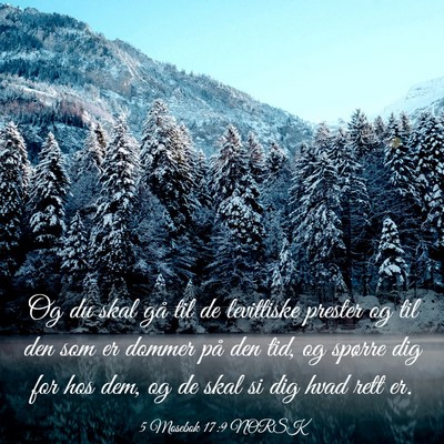Picture 03 - 5 Mosebok 17:9 NORSK - Og du skal gå til de levittiske prester og til - Bible Verse Picture