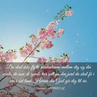 Picture 03 - 5 Mosebok 19:14 NORSK - Du skal ikke flytte merkestenene mellem dig og - Bible Verse Picture