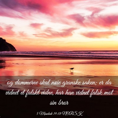 Picture 03 - 5 Mosebok 19:18 NORSK - og dommerne skal nøie granske saken; er da - Bible Verse Picture