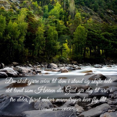 Picture 03 - 5 Mosebok 19:3 NORSK - Du skal gjøre veien til dem i stand og skifte - Bible Verse Picture