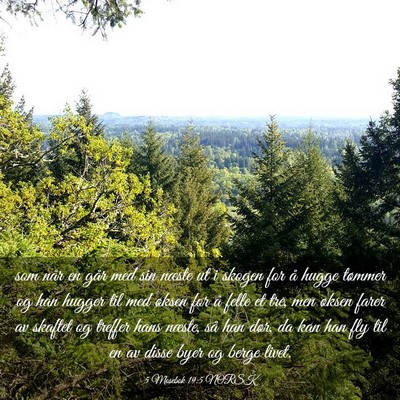 Picture 03 - 5 Mosebok 19:5 NORSK - som når en går med sin næste ut i skogen for - Bible Verse Picture