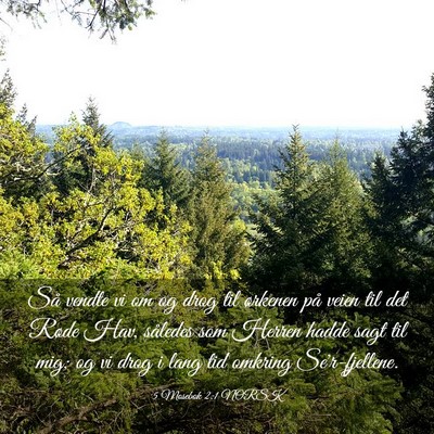 Picture 03 - 5 Mosebok 2:1 NORSK - Så vendte vi om og drog til ørkenen på veien - Bible Verse Picture