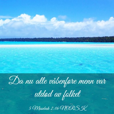 Picture 03 - 5 Mosebok 2:16 NORSK - Da nu alle våbenføre menn var utdød av - Bible Verse Picture
