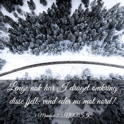 Picture 03 - 5 Mosebok 2:3 NORSK - Lenge nok har I draget omkring disse fjell; vend - Bible Verse Picture