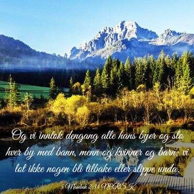 Picture 03 - 5 Mosebok 2:34 NORSK - Og vi inntok dengang alle hans byer og slo hver - Bible Verse Picture