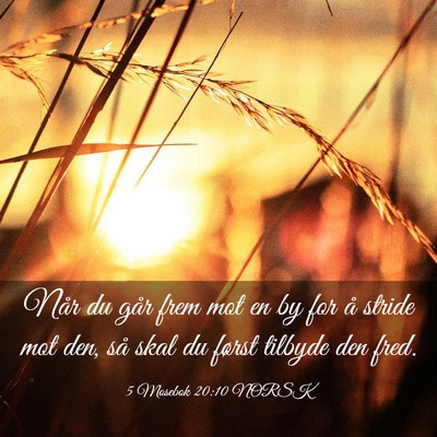 Picture 03 - 5 Mosebok 20:10 NORSK - Når du går frem mot en by for å stride mot - Bible Verse Picture