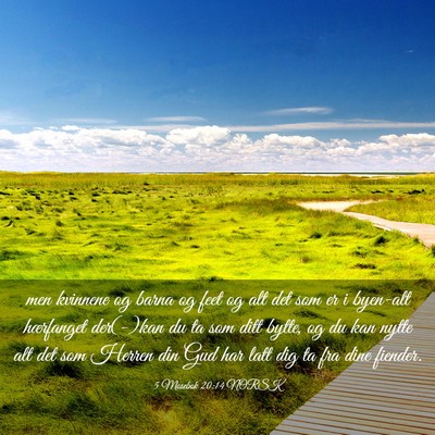 Picture 03 - 5 Mosebok 20:14 NORSK - men kvinnene og barna og feet og alt det som er i - Bible Verse Picture