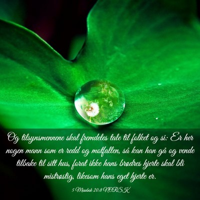 Picture 03 - 5 Mosebok 20:8 NORSK - Og tilsynsmennene skal fremdeles tale til folket - Bible Verse Picture