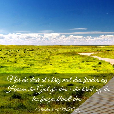 Picture 03 - 5 Mosebok 21:10 NORSK - Når du drar ut i krig mot dine fiender, og - Bible Verse Picture
