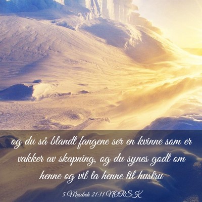 Picture 03 - 5 Mosebok 21:11 NORSK - og du så blandt fangene ser en kvinne som er - Bible Verse Picture