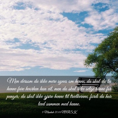 Picture 03 - 5 Mosebok 21:14 NORSK - Men dersom du ikke mere synes om henne, da skal - Bible Verse Picture
