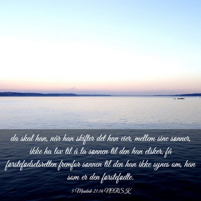Picture 03 - 5 Mosebok 21:16 NORSK - da skal han, når han skifter det han eier, - Bible Verse Picture